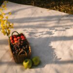 a picnic blanket with a basket of fruit | nature spots near west roxbury