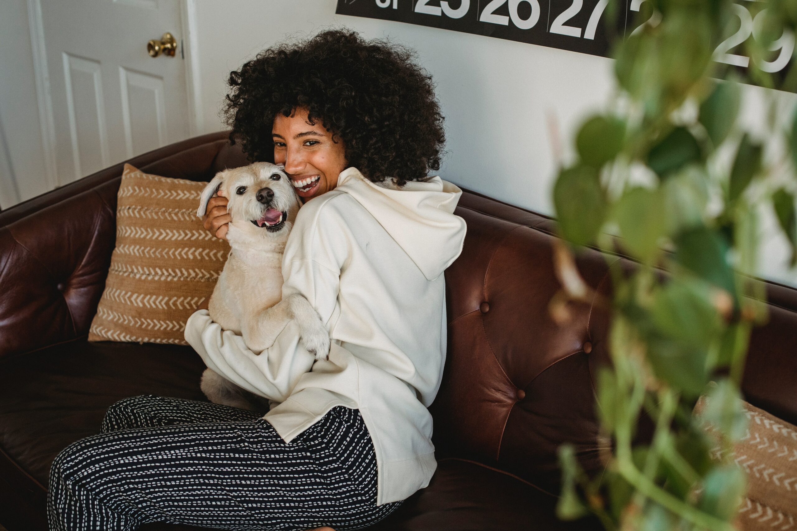 woman and dog smiling while sitting on a couch | boarding facilities West Roxbury